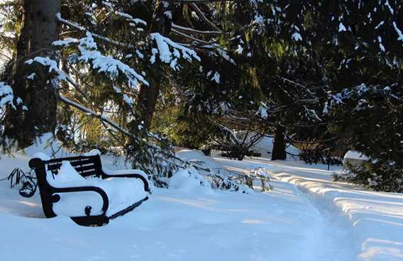 Sentier de la chute